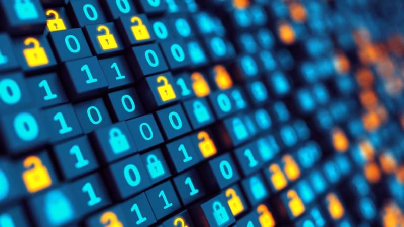 元阳县软件开发：以硬核实力，筑工业数字基石
